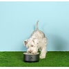 image:imageSTANLEY Pet Bowl  3Cup 24 oz Insulated Stainless Steel Dog amp Cat Bowl  SplashResistant Lid  Dishwasher Safe  BPAFree  Black 20Black 20