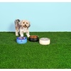 image:imageSTANLEY Pet Bowl  3Cup 24 oz Insulated Stainless Steel Dog amp Cat Bowl  SplashResistant Lid  Dishwasher Safe  BPAFree  Black 20Cream