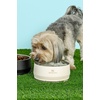 image:imageSTANLEY Pet Bowl  3Cup 24 oz Insulated Stainless Steel Dog amp Cat Bowl  SplashResistant Lid  Dishwasher Safe  BPAFree  Black 20Rose Quartz