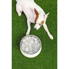 image:imageSTANLEY Pet Bowl  3Cup 24 oz Insulated Stainless Steel Dog amp Cat Bowl  SplashResistant Lid  Dishwasher Safe  BPAFree  Black 20Rose Quartz